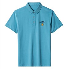 夏季新款男士翻领短袖t恤中年有领男装上衣服休闲POLO衫，男装T恤，电商B212（原钱塘6029）