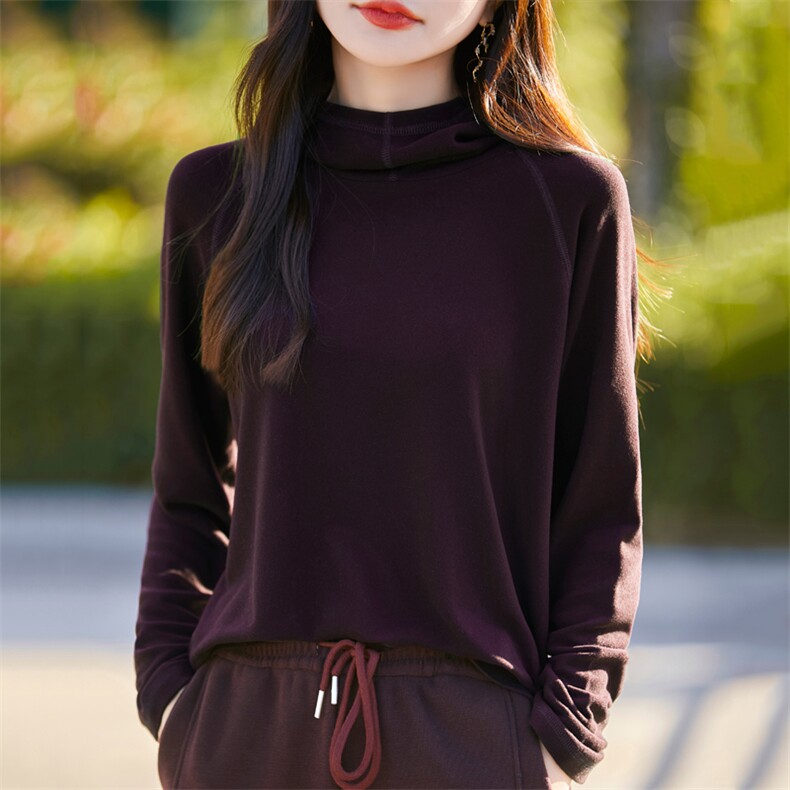 加厚双面磨毛连帽绒衫卫衣女2025新款保暖长袖内搭打底帽衫上衣,针织衫/毛衣,臻维羊绒