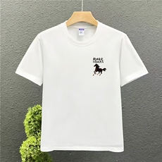 1506A/GL4190/P32马到中高考穿的衣服装班服T恤1，男装T恤，星座1506A
