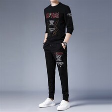 春秋季男士长袖t恤男2023年中青年休闲运动套装春季男装两件套潮，男装休闲套装，电商B212（原钱塘6029）