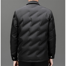 轻薄羽绒服男士2024冬季新款潮牌灰鸭绒翻领上衣休闲保暖外套男装，男装羽绒服，星座505-2（原电商A260-1)