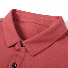 QLM55156男式秋季服装新款长袖T恤青年翻领四季打底体恤P62，男装T恤，电商B360