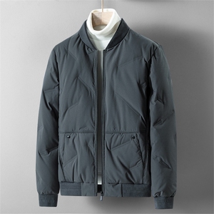 2024 冬季新款2210款立体剪裁50%灰鸭绒羽绒服 P95图片