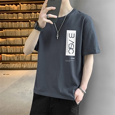 DT06灰色
