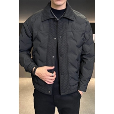 现货主推男士翻领轻薄灰鸭绒麦穗羽绒服外套上衣YR121P155，男装羽绒服，电商B226-2（原B217-2）