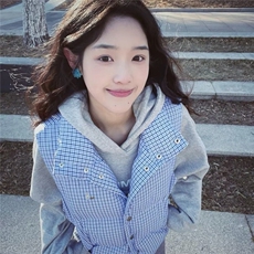 香风小马甲女2025春季新款韩版显瘦宽松马夹外套棉衣格子上衣工装，男装棉衣，星座1210-1