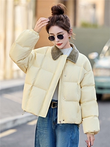 新款冬季撞色拼接翻领领羽绒服2025年冬季时尚潮流图片