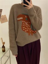 浣熊小恐龙，其它，FMV