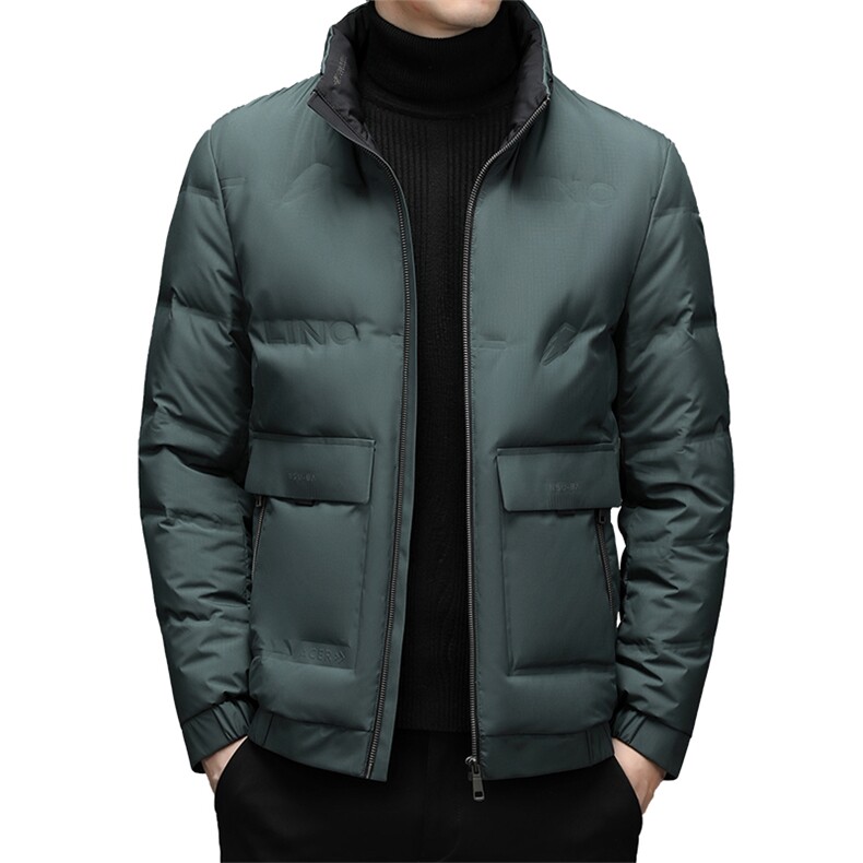 羽绒服冬季男短款立领休闲中青年男士冬装外套DFLDY8005-P255,男装羽绒服,电商B212（原钱塘6029）