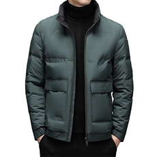 羽绒服冬季男短款立领休闲中青年男士冬装外套DFLDY8005-P255，男装羽绒服，电商B212（原钱塘6029）