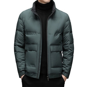 羽绒服冬季男短款立领休闲中青年男士冬装外套DFLDY8005-P255图片