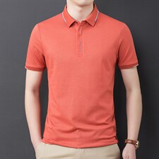 短袖t恤男装2023夏季新款中年潮流polo衫翻领商务休闲百搭t恤男士，男装T恤，电商B212（原钱塘6029）