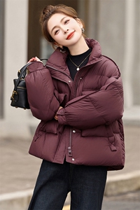 红时尚短款羽绒服女2025冬季新款高级感立领保暖白鸭绒外套图片