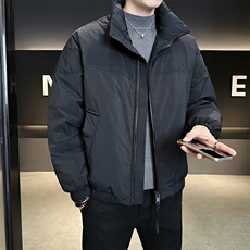 90新标2025冬设计款立领休闲加厚保暖宽松羽绒服外套5971-P295，男装羽绒服，电商A413