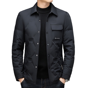 V3582钱塘2020-3冬季厚款商务休闲中年男士90鸭绒羽绒服P195图片