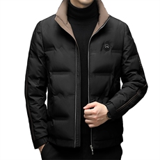 YR86033继续2025冬立领羽绒服现货3色都好卖数据上架就卖，男装羽绒服，钱塘207-1