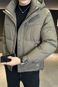棉服男装棉衣连帽加厚手筛棉飞丝羽绒服C317-8588-P165图片