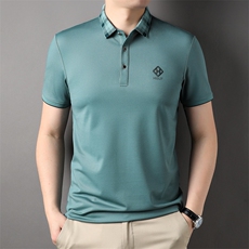 中年男士商务休闲刺绣纯色短袖T恤polo衫2023夏季新款男半袖上装，男装T恤，电商B212（原钱塘6029）