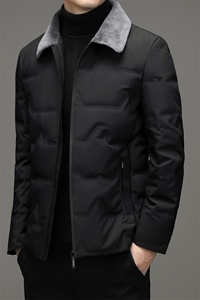 CXZZF17钱塘2020-2中年男士冬季厚款商务休闲简约羽绒服外套P195图片