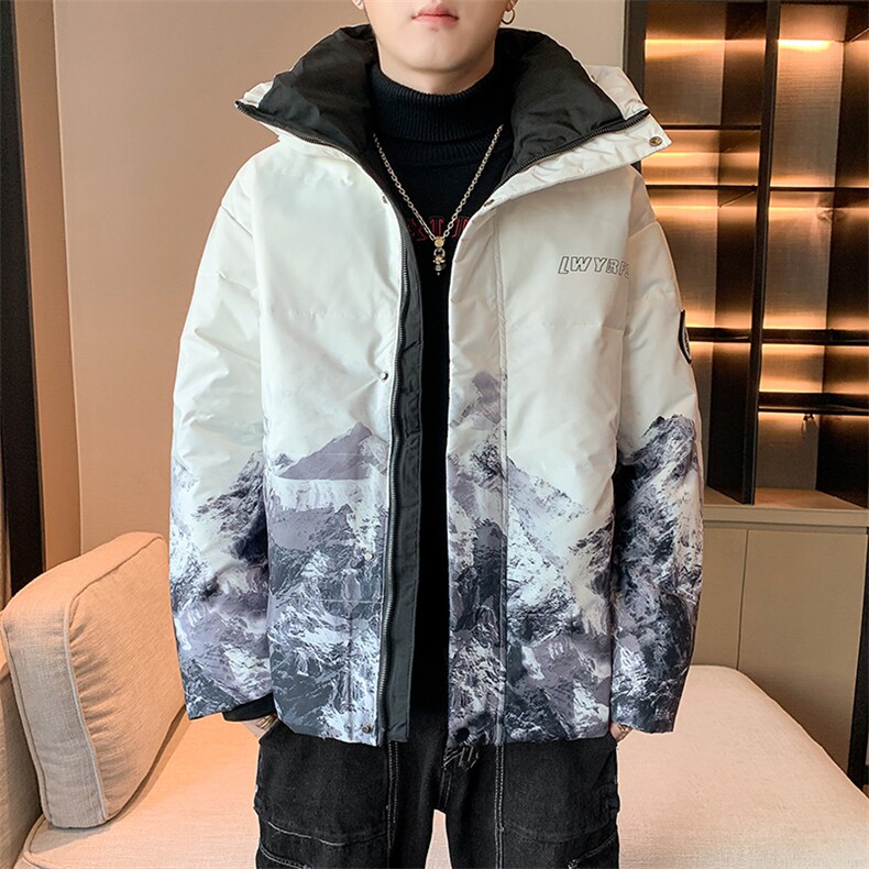 现货 外贸侧飞图立领光板团体服班服宽松韩版情侣学生外套羽绒服图片