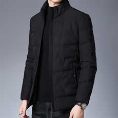 AN9072钱塘2020-3秋冬新款中年男士休闲立领保暖羽绒服外套P190，男装羽绒服，钱塘207-3