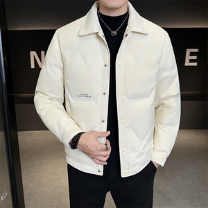 新款男士小翻领羽绒服夹克加厚防寒309B-3-81069-P190图片