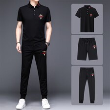 2023新款男士休闲运动套装中年男装夏季翻领短袖t恤冰丝一套衣服，男装休闲套装，电商B212（原钱塘6029）