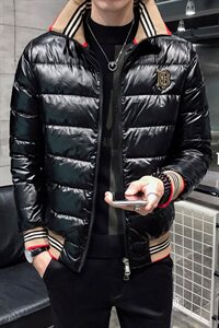 2021秋冬季新款立领羽绒服男加厚 钱塘3029-1928  真模图片
