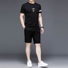 2023夏季薄款男士套装短袖T恤中青年圆领短裤运动，男装休闲套装，电商B212（原钱塘6029）