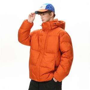 潮流宽松休闲棉衣潮牌高街棉服A161-9893-P100图片