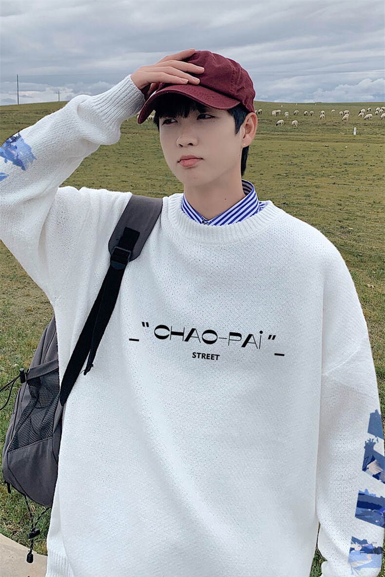 ！2023秋冬新款男士百搭潮流圆领毛衣加厚大码针织衫M813P50，男装针织衫/毛衣，电商B220