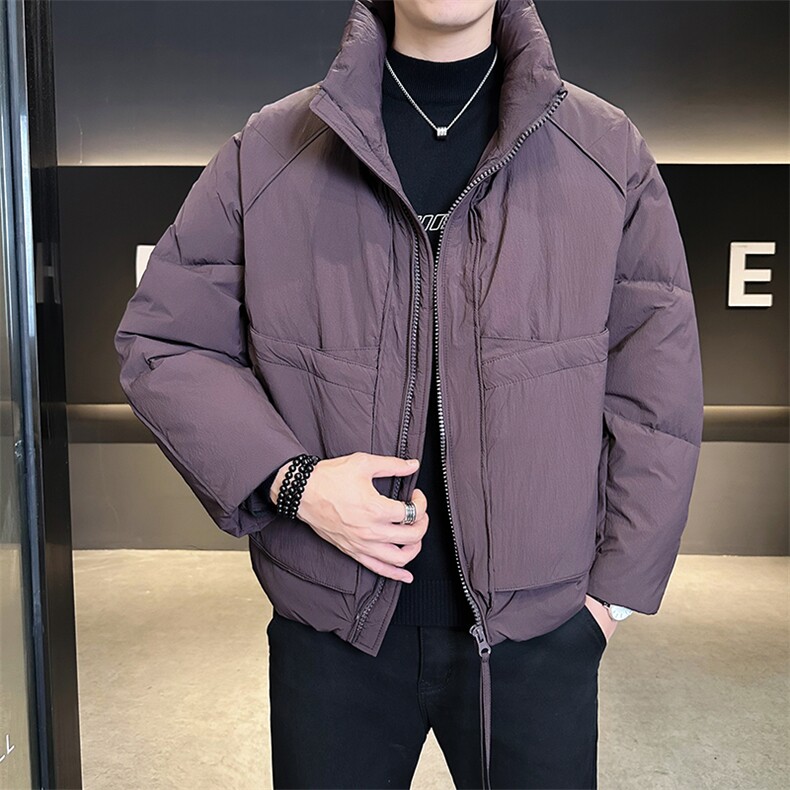 90新标2025设计款加厚保暖立领简约宽松羽绒服外套8821-P295,男装羽绒服,电商A413
