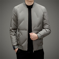 BAMJ-8992钱塘2020-2中年男士商务休闲时尚立领简约羽绒服P170，男装羽绒服，钱塘207-2