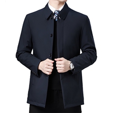 冬季新款翻领纯色外套男棉服商务休闲中年加厚保暖男装棉衣外套，男装棉衣，电商B212（原钱塘6029）