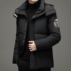 BF2920钱塘2020-2中青年男士时尚休闲厚款百搭冬季羽绒服P275，男装羽绒服，钱塘207-2