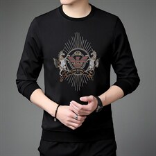 中年男士卫衣春秋季新款宽松圆领套头上衣潮流印花长袖上衣，男装卫衣，电商B212（原钱塘6029）