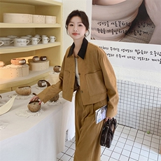 新品麂皮绒套装2c113-8838-p180-k268，女装套装/套裙，2C113