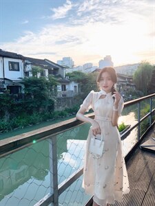 刺绣蹄花鎏金纱连衣裙旗袍图片
