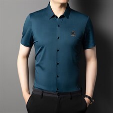 夏季新款短袖衬衫男装商务休闲衬衫宽松衬衣休闲潮流免烫百搭衬衣，男装衬衫，电商B212（原钱塘6029）