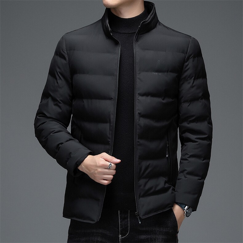 AN9800钱塘2020-3秋冬中年男士立领商务休闲保暖羽绒服外套P131,男装羽绒服,钱塘207-3