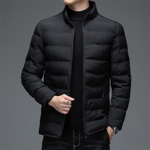 AN9800钱塘2020-3秋冬中年男士立领商务休闲保暖羽绒服外套P131图片