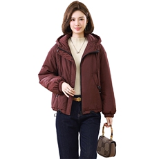 现货！！！！棉衣女气质，女装棉衣/棉服，素月