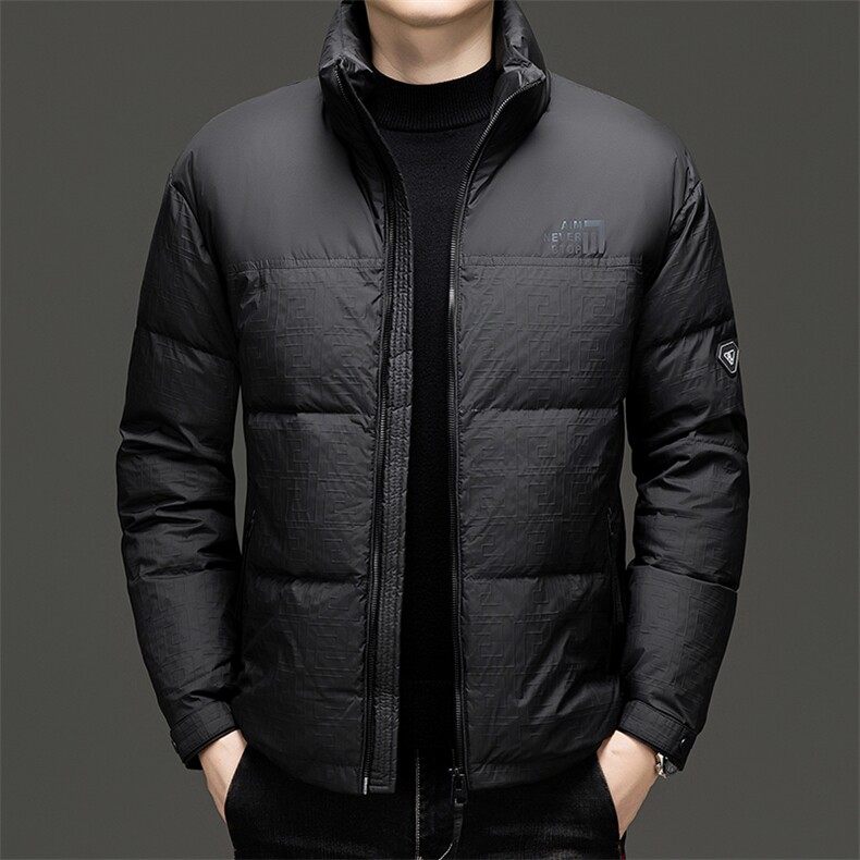 秋冬季新款羽绒服男士白鸭绒加绒潮服休闲立领潮流韩版保暖外套,男装羽绒服,钱塘6003（原4033）