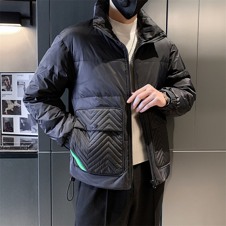 立领款白鸭绒新标50绒保暖休闲大口袋款B226-9009-P195，男装棉衣，电商A210