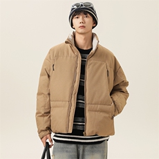 2025冬季新款男日系潮牌立领白鸭绒羽绒服加厚外套棉衣YR52-F265，男装羽绒服，电商A101（原外27）
