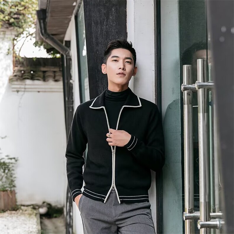 英伦复古男装高级奢华针织外套男商务休闲翻领拉链开衫毛衣男冬季，男装针织衫/毛衣，星座506A