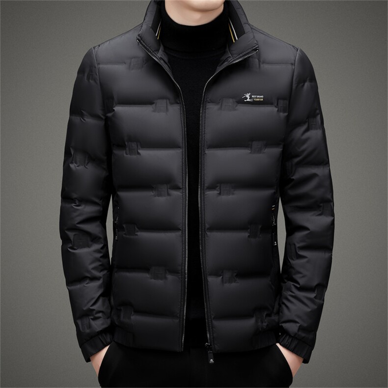 BAMJ-8980钱塘2020-2中年男士冬季厚款商务休闲翻领羽绒服P195图片