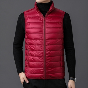 达标50绒 秋冬新款轻薄羽绒服马甲男士轻羽绒背心坎肩YR912-P55图片