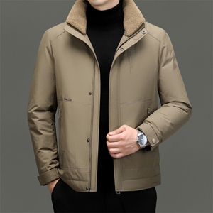 DF2349钱塘2020-2时尚休闲冬季厚款百搭中年男士羽绒服P293图片