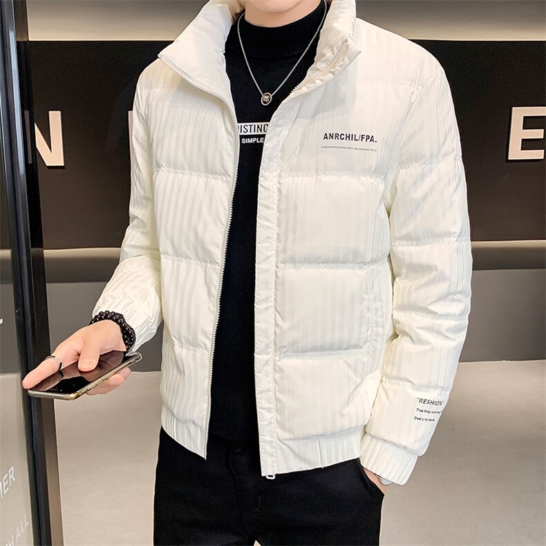 羽绒服男冬季2025新款条纹立领男士外套A313-8801-P100特批,男装羽绒服,电商A313
